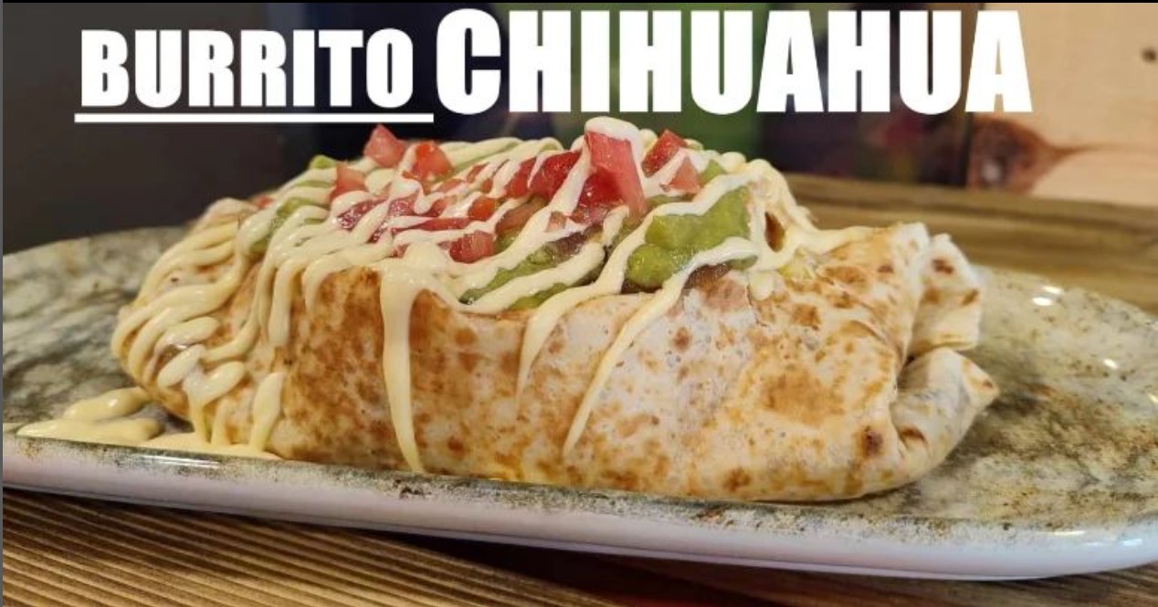 Burrito Chihuahua